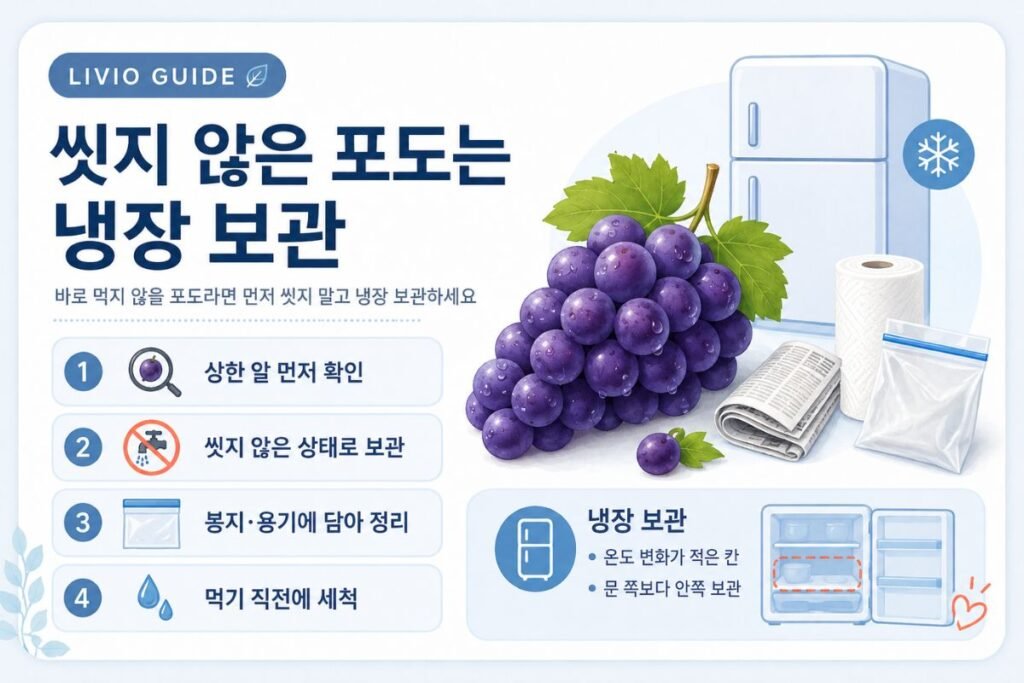포도 보관법 씻지 않은 포도 냉장 보관 방법