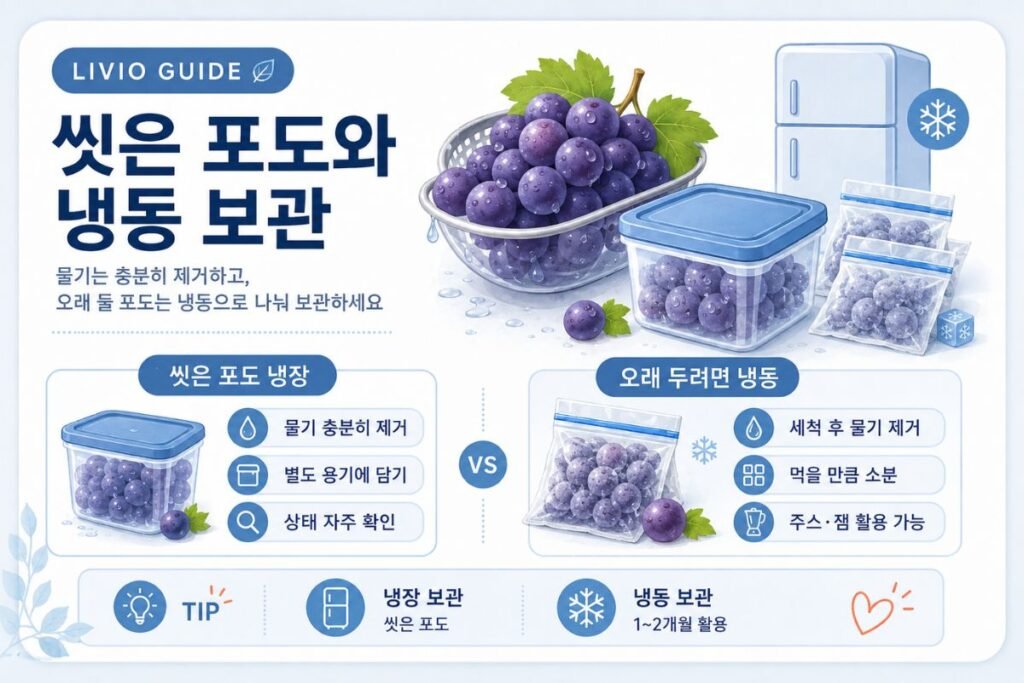 포도 보관법 씻은 포도 냉장 냉동 보관 방법