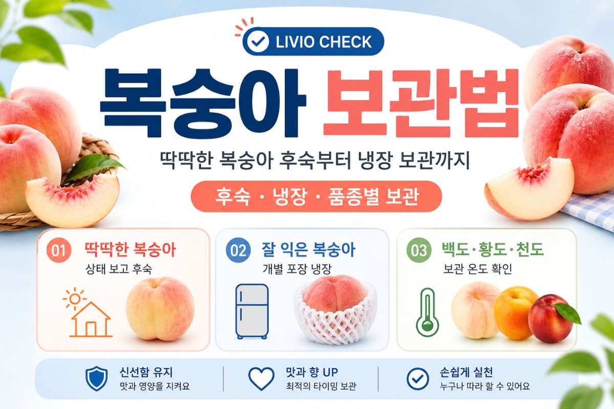 복숭아 보관법과 딱딱한 복숭아 후숙, 냉장 보관 방법 안내